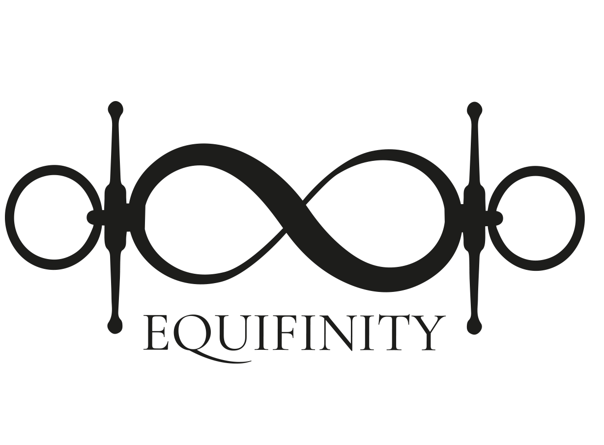 equifinity